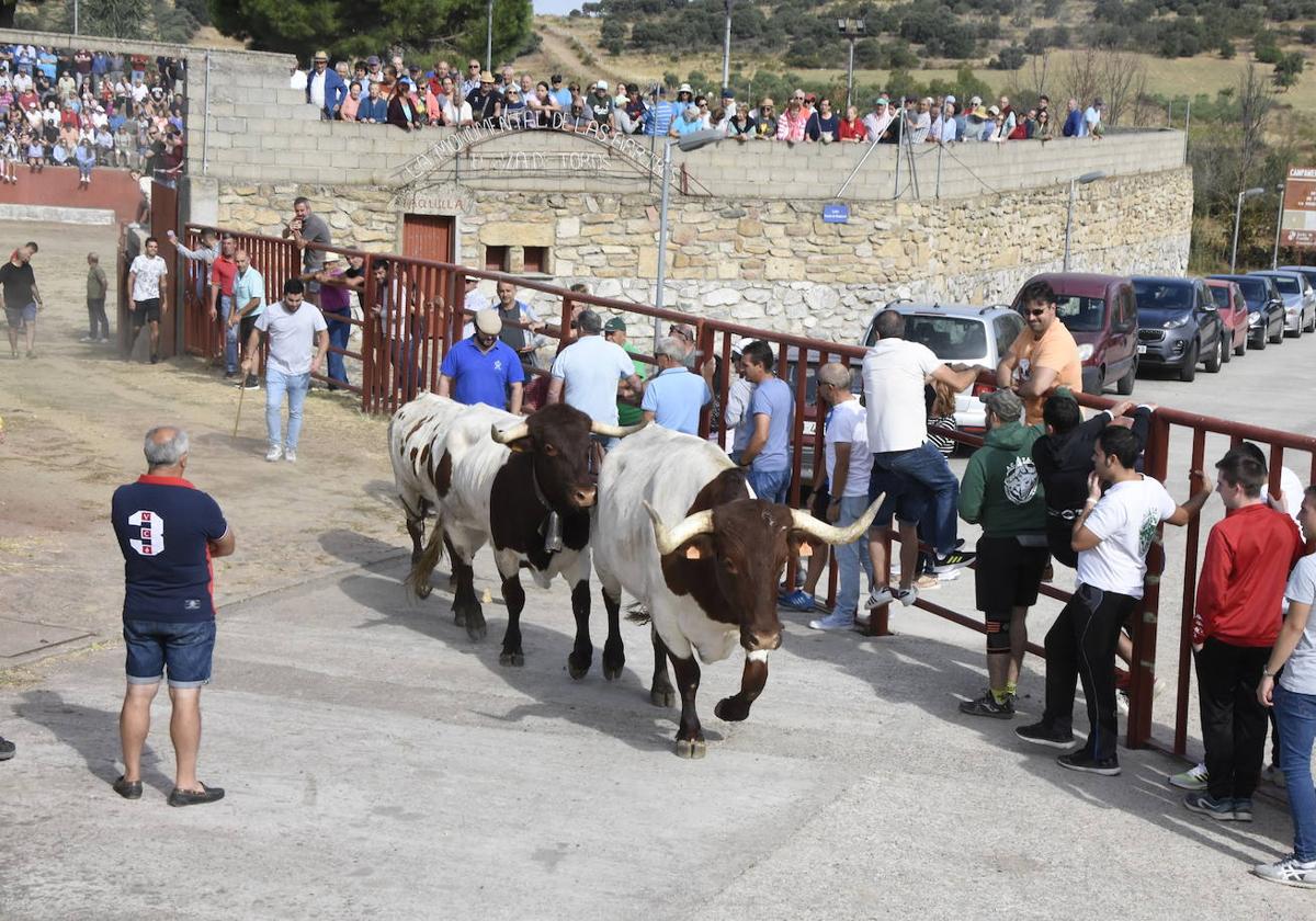 Qu Fiestas Hay En Los Pueblos De Salamanca Hoy Domingo De